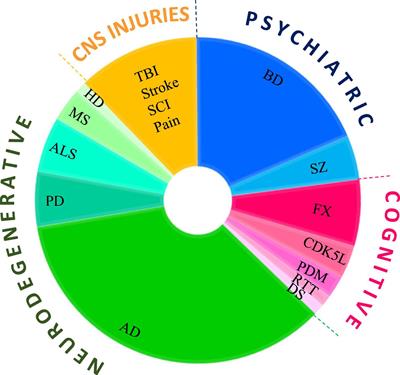 Glycogen Synthase Kinase-3 Inhibitors: Preclinical and Clinical Focus on CNS-A Decade Onward